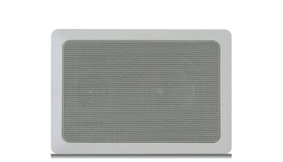 Davis Acoustics 100 RE