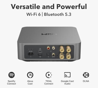 WiiM Amp Pro Ciemnoszary - 2