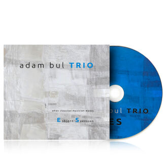 DNA010: Adam Bul Trio - When classical musician meets Esbjorn Svensson - 2