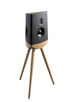 Lyngdorf Cue-100 czarne z dębową podstawą