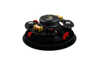 Davis Acoustics 210 ROT2 PRO - 2