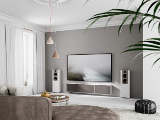 Lyngdorf FR-2 biały z panelem mocca - 7