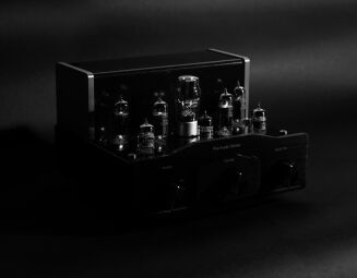 Pier Audio MS-84 SE mk2 - 12