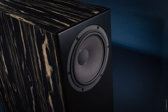 Davis Acoustics MV One Master tamo ash - 10