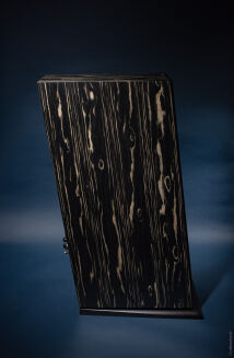 Davis Acoustics MV One Master tamo ash - 12