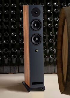 Davis Acoustics Krypton 6 czarny - 14