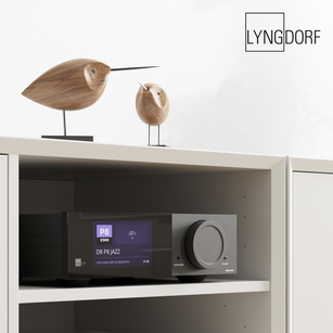 Lyngdorf TDAI-2210 HDMI - 2.1 Input (8K & HDR)