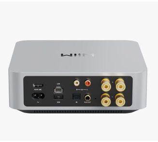 WiiM Amp Srebrny - 2
