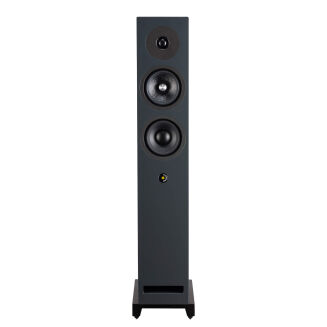 Davis Acoustics Krypton 6 orzech - 5