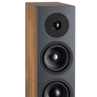 Davis Acoustics Krypton 6 orzech - 9
