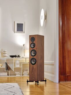 Zestaw 11: New Horizon 190i, Wiim Pro, Pier Audio MS-300 PP, Revival Audio Atalante 4 (para) - 12