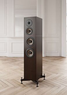 Zestaw 11: New Horizon 190i, Wiim Pro, Pier Audio MS-300 PP, Revival Audio Atalante 4 (para) - 14