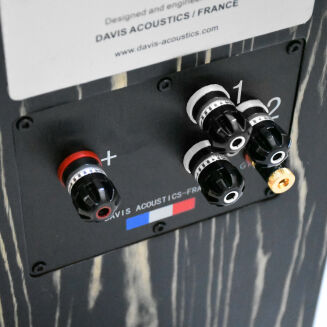 Davis Acoustics MV One Master heban - 5