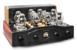 Pier Audio MS-300 PP - 6