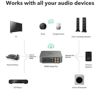 WiiM Amp Ciemnoszary - 3