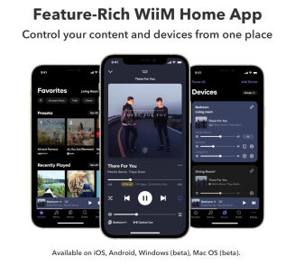 WiiM Amp Ciemnoszary - 6