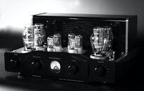 Pier Audio MS-300 SE mk2 - 10