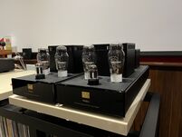 Audio Note Neiro - 2