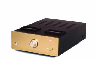 Pier Audio MS-380 SE złoty - 4