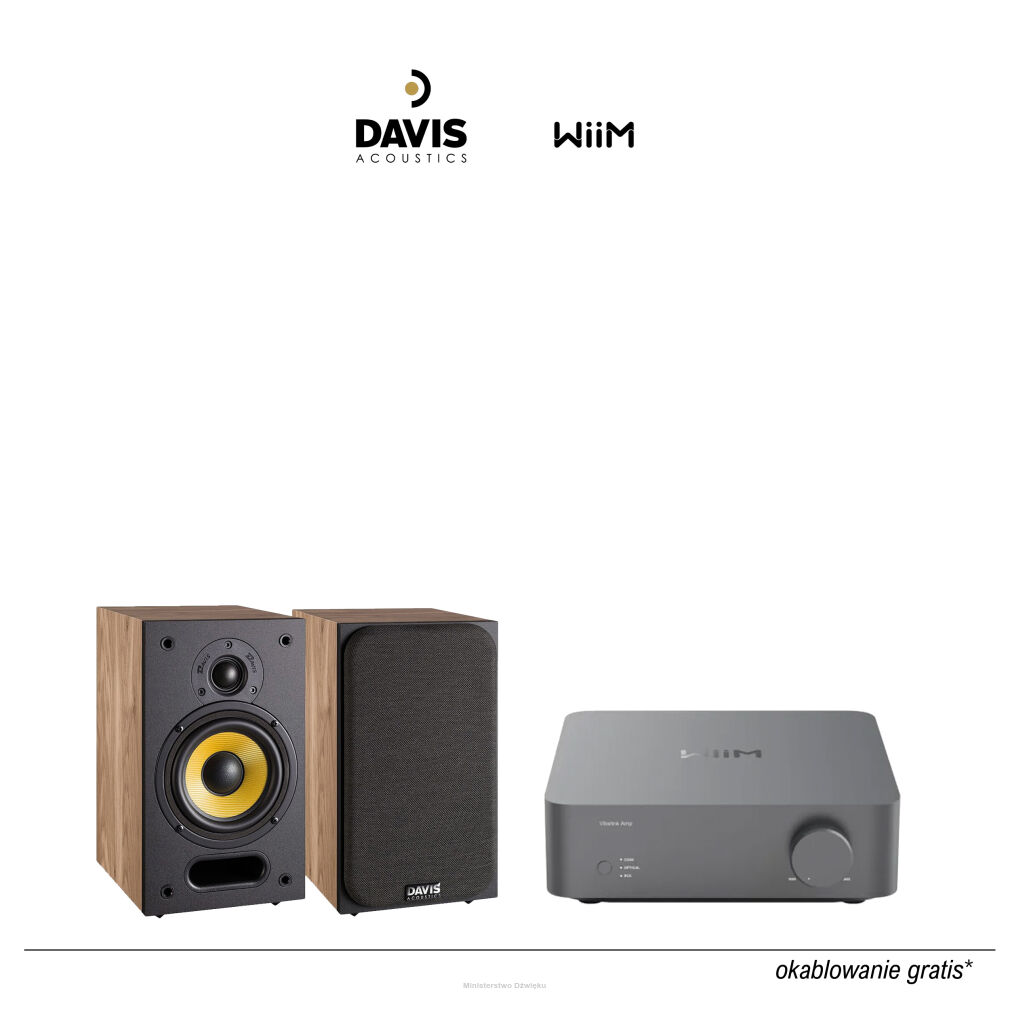 Zestaw 02: Wiim Amp, Davis Acoustics Ariane 1 (para)