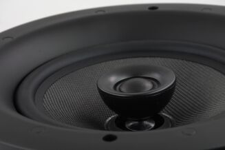 Davis Acoustics 210 RO PRO - 12