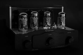 Pier Audio MS-65 SE - 12