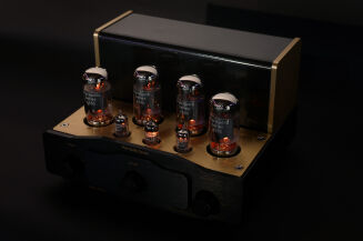 Pier Audio MS-65 SE - 13