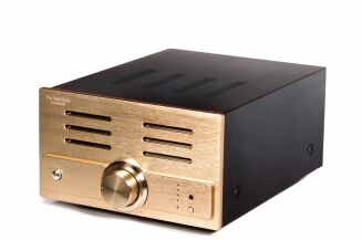 Pier Audio PA-8000 SE + MS-8000 SE złoty - 12
